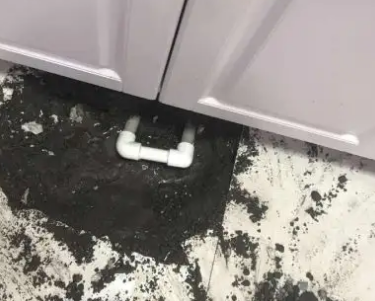 红花岗查漏水哪家好