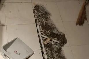 红花岗卫生间漏水检测电话